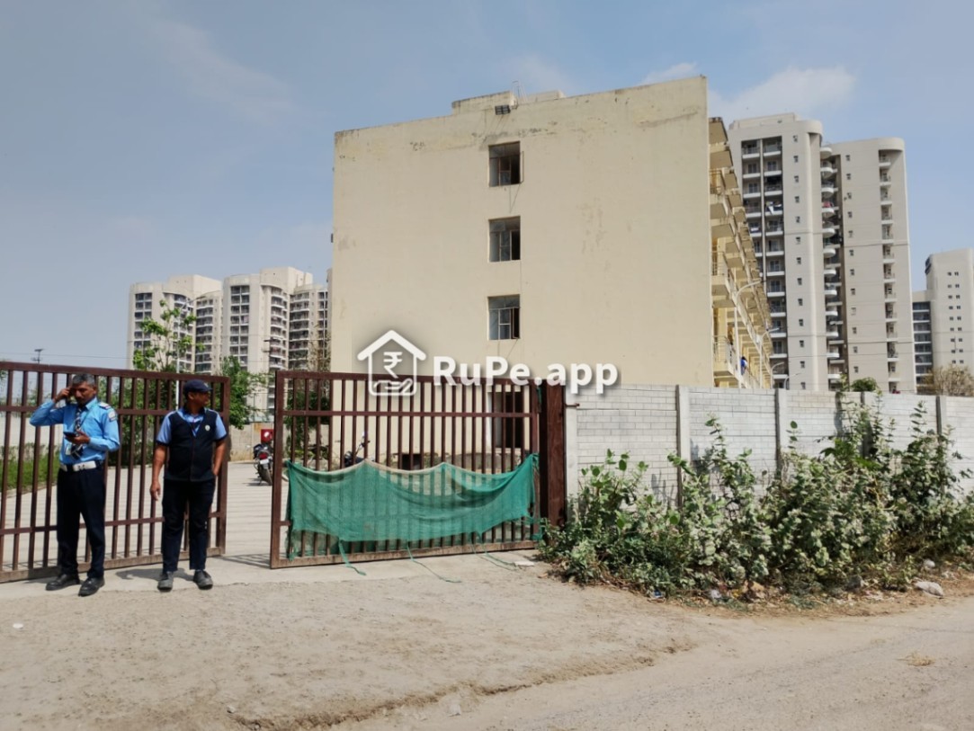 1bhk Sector 86 Faridabad Rent Ews Flat