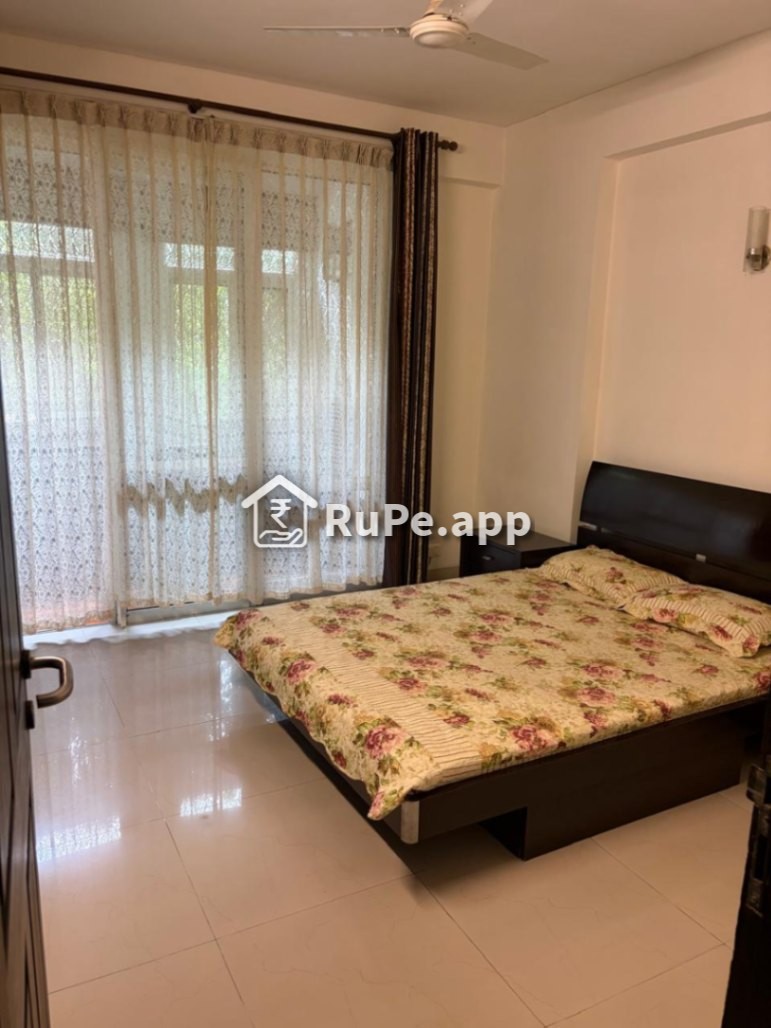 3bhk Apartment For Rent Sector 49 Gurgaon 3bhk Apartment For Rent Sector 49 Gurgaon
