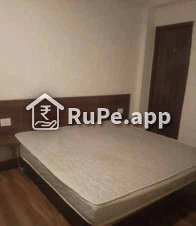 Living Room In 1bhk Flat For Rent Gurugram Sector 51 Img 3 Living Room In 1bhk Flat For Rent Gurugram Sector 51 Img 3